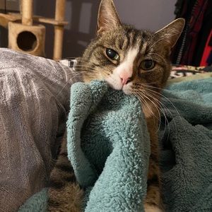 Meet your Posher, Caitlin